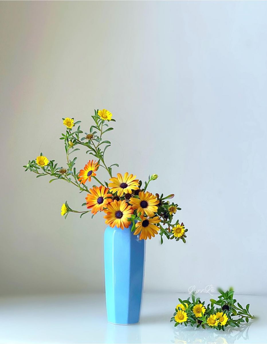 Tử vi ngày 1/5/2022 của 12 cung hoàng đạo